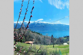 VillaTullia Ferienhaus mit Seesicht Gardasee, Tignale